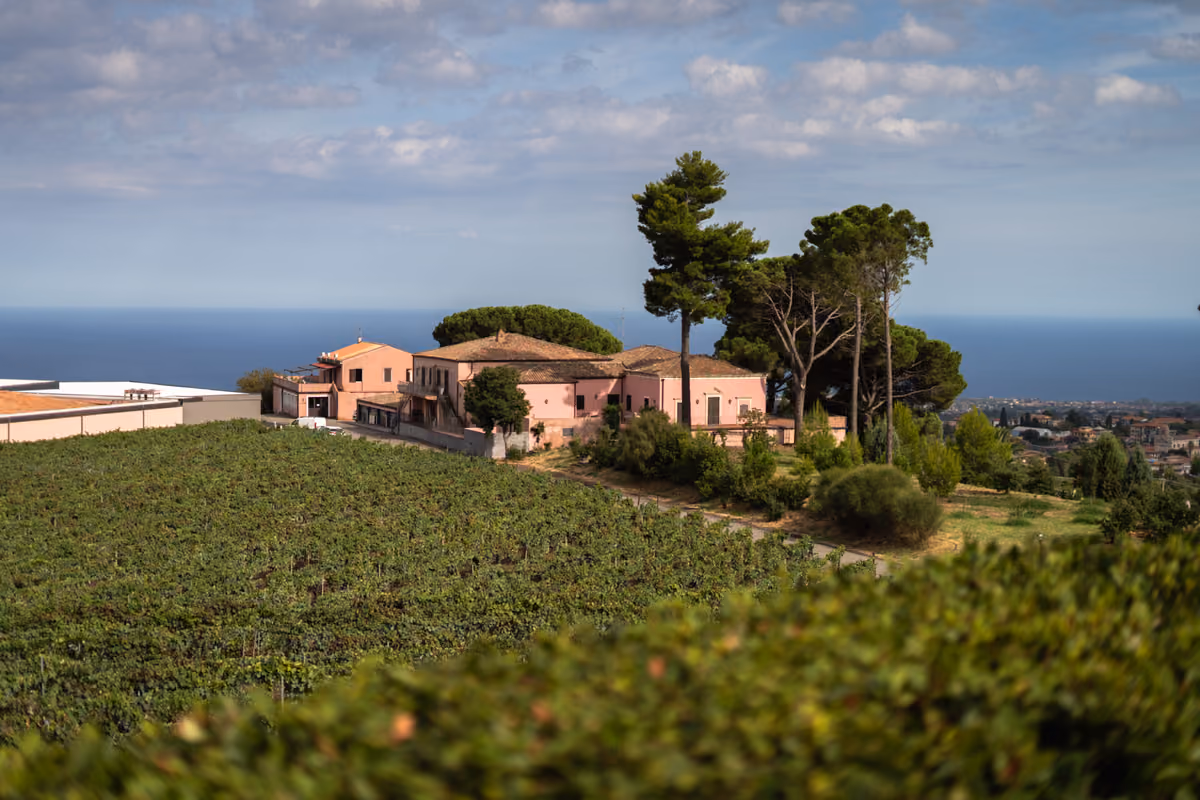 Dal Corleonese all'Etna fino al Val di Noto: quattro cantine siciliane da scoprire