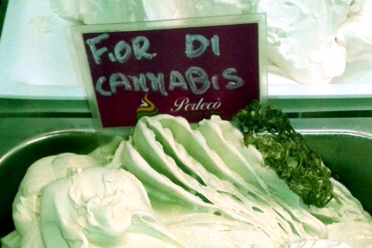 Il gelato alla cannabis firmato Perlecò  Da Savona al festival della canapa a Roma