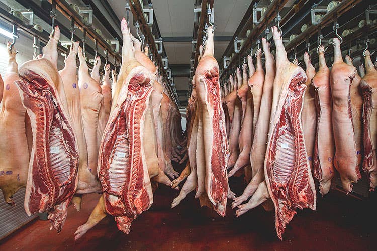 (Influenza suina, quattro casi a La Spezia Giù del 25% i consumi di carne di maiale)