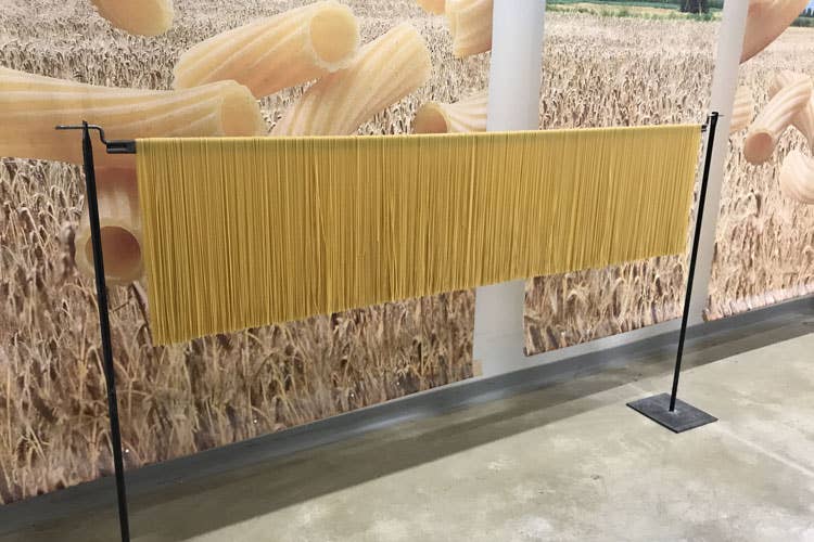 Pasta Sgambaro lancia nuovi prodotti bio Sapore green e alto profilo nutrizionale