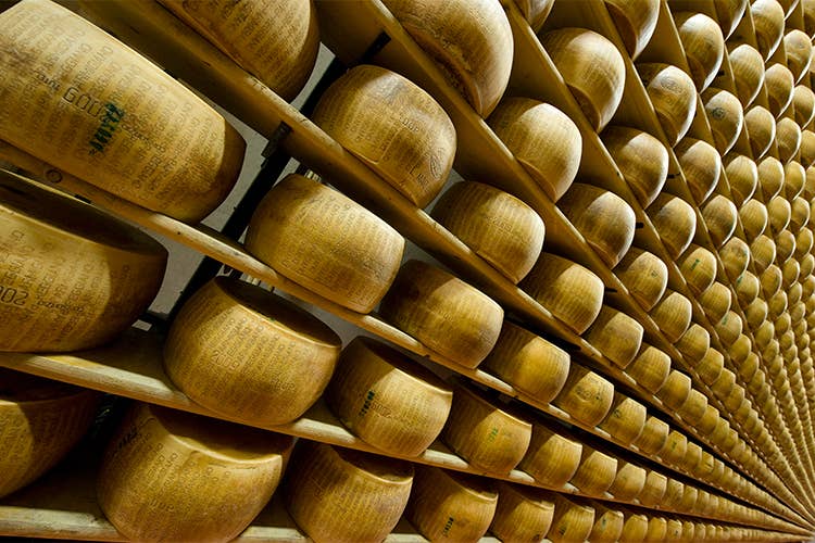 (La Piazza dei Caseifici del Parmigiano Reggiano)