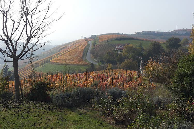 Poderi Einaudi, tra vino e ospitalità Amore per la terra da quattro generazioni