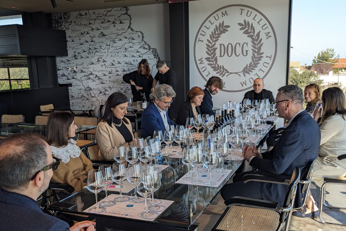 Pecorino, Passerina e Montepulciano: alla scoperta dei vitigni della Docg Tullum