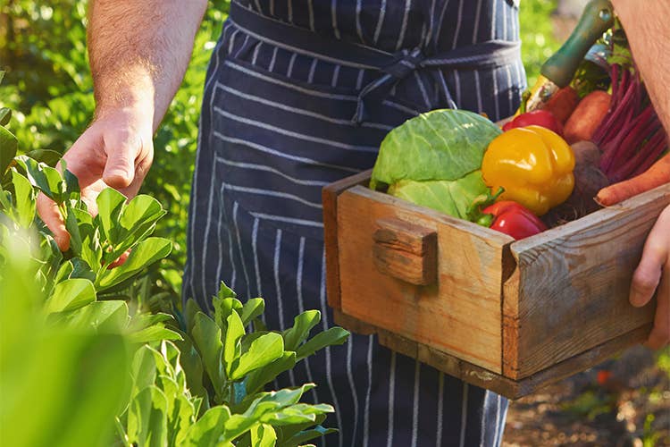 Il futuro della ristorazione in mano ai cuochi-agricoltori?