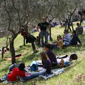 Arte Musica E Merende Tra Gli Ulivi Successo Per Il Pic Nic Di Trevi