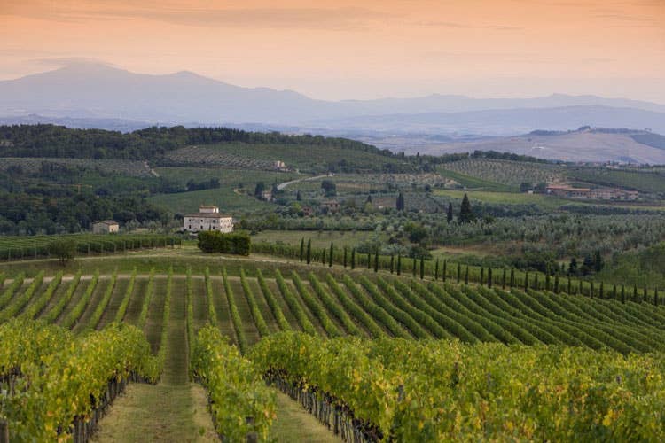 Fare squadra per il Chianti Classico È nata l'Associazione Viticoltori Gaiole