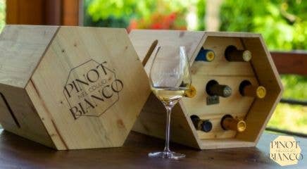 Rete Pinot Bianco Collio                                                                                                                              