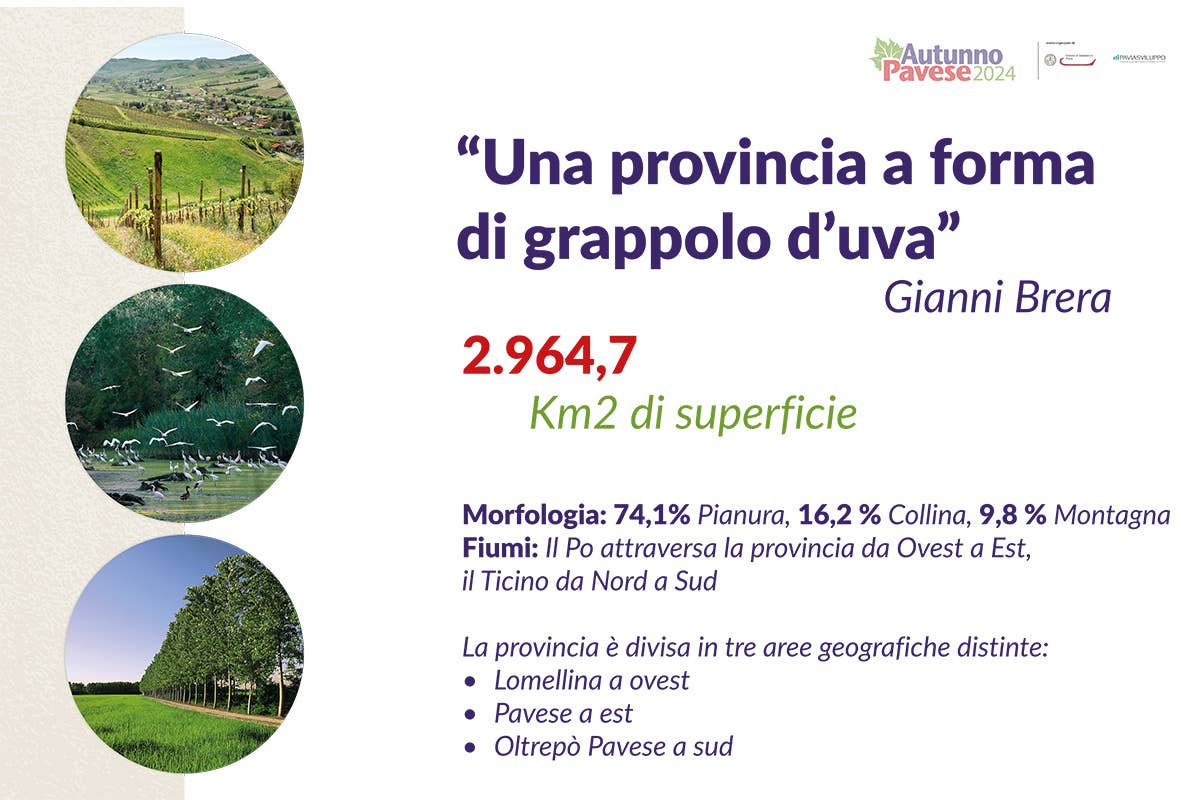 Il vino e l'eccellenze alimentari di Pavia: un plus per l'alta ristorazione