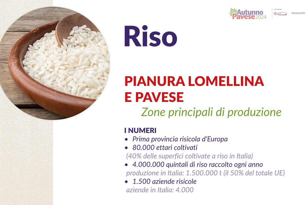 Il vino e l'eccellenze alimentari di Pavia: un plus per l'alta ristorazione