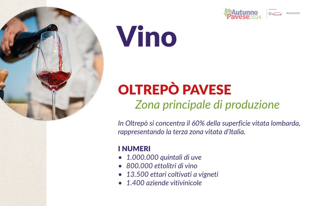 Il vino e l'eccellenze alimentari di Pavia: un plus per l'alta ristorazione