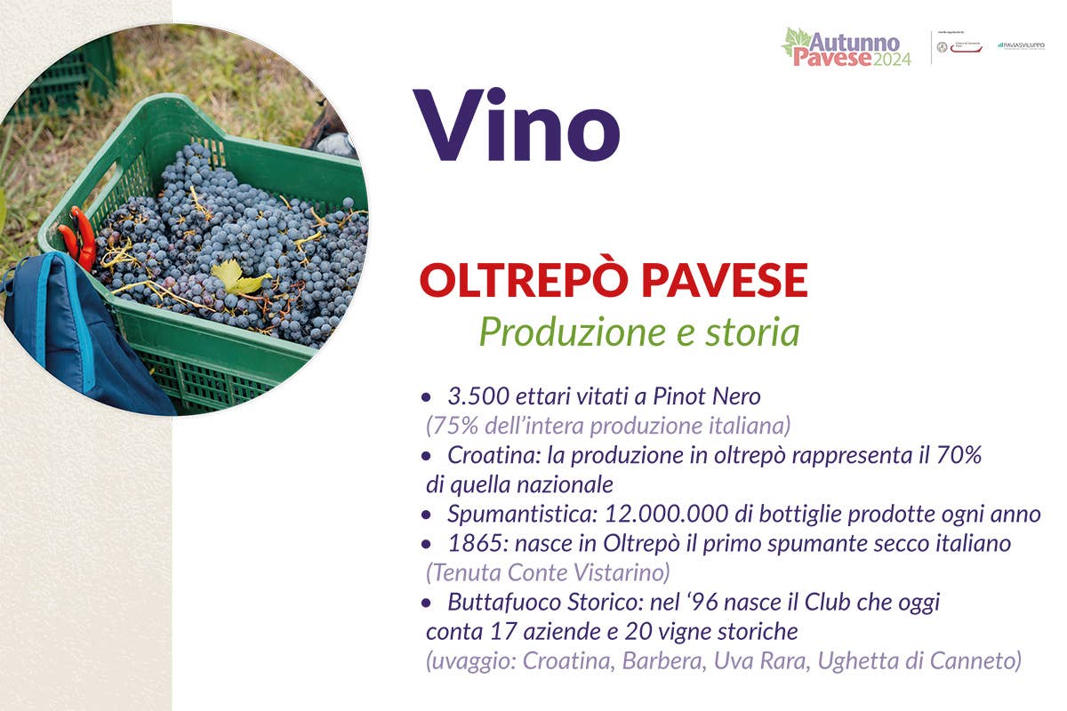 Il vino e l'eccellenze alimentari di Pavia: un plus per l'alta ristorazione