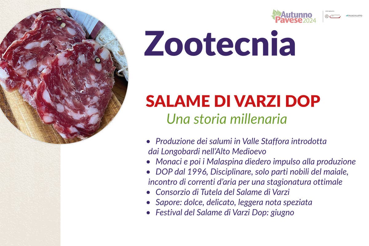 Il vino e l'eccellenze alimentari di Pavia: un plus per l'alta ristorazione