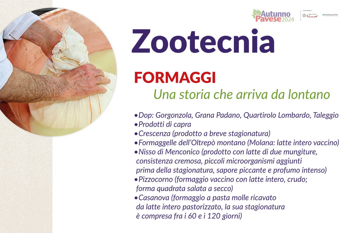 Il vino e l'eccellenze alimentari di Pavia: un plus per l'alta ristorazione