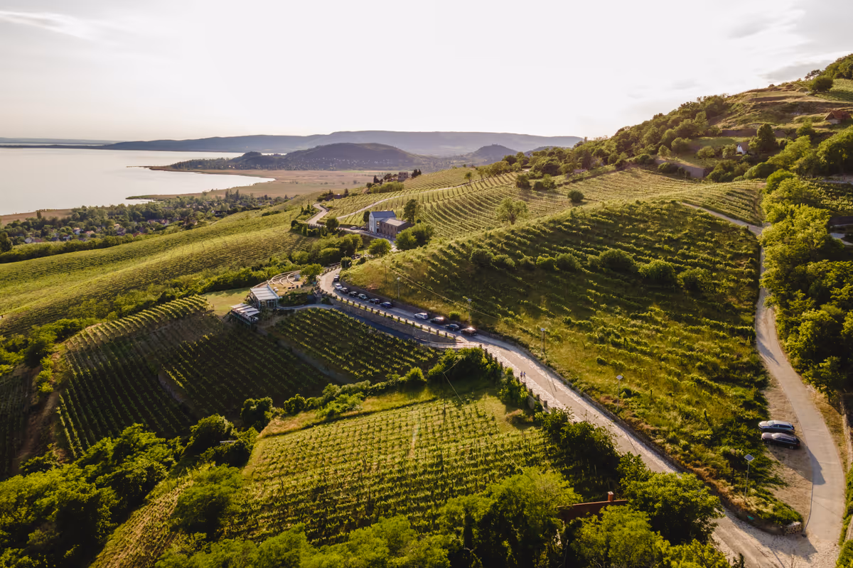 Ungheria, oggi una delle destinazioni da scoprire per gli appassionati di vino