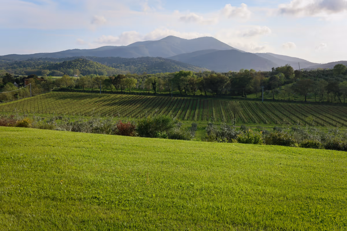 La Faretra e Querce Bettina: dove Maremma e Montalcino si incontrano