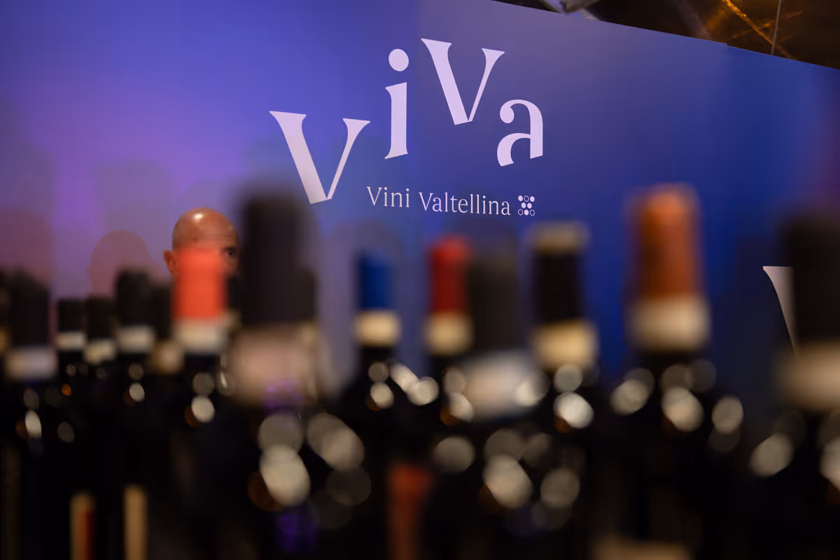 “ViVa, Vini Valtellina” torna con un viaggio tra cantine, borghi e Nebbiolo