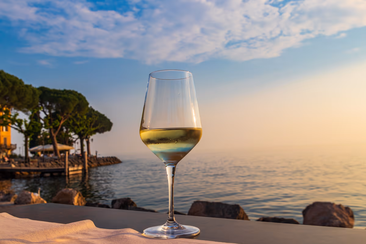 Garda Doc cresce ancora: nuove regole e più spazio ai vini del territorio
