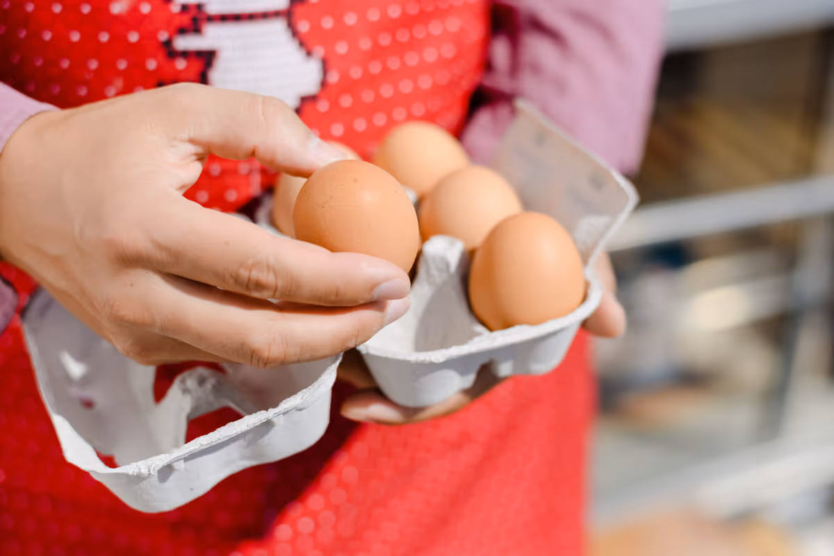 Uova, lotto ritirato per salmonella: ecco come consumarle in sicurezza
