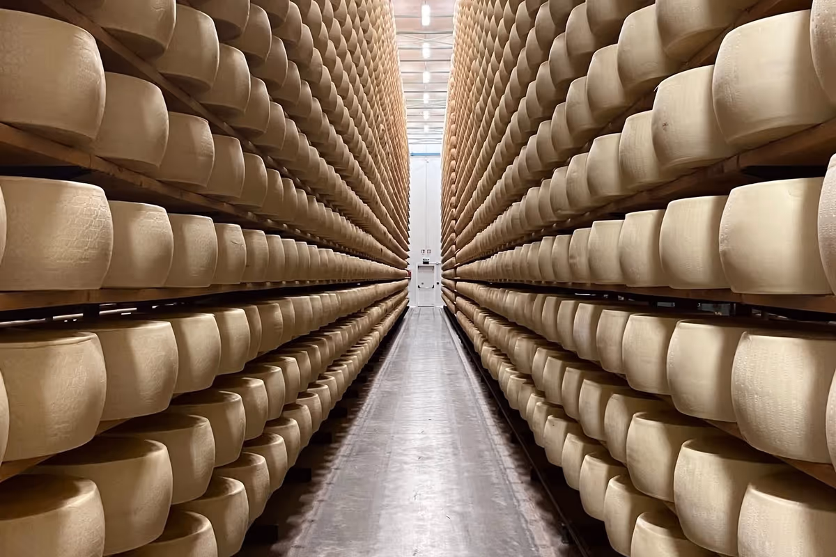 Bresciangrana sospende il ritiro del latte: 1.340 quintali al giorno a rischio