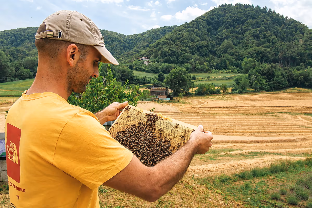 Lo “psicologo delle api” esiste davvero e si chiama Marco Cavanna
