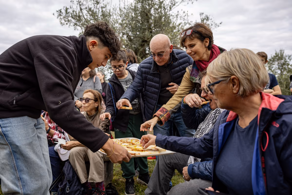Frantoi Aperti torna in Umbria: cinque weekend tra olio nuovo, paesaggio e turismo lento