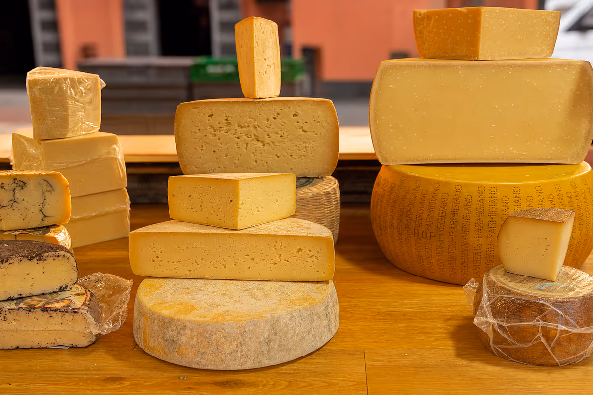 Italian Cheese Awards 2026: ad Ancona la finale con 34 formaggi in gara