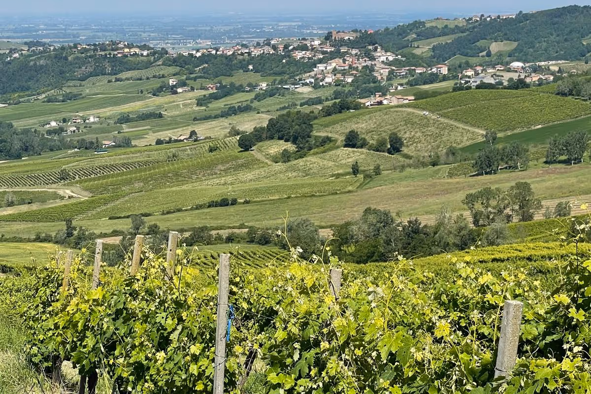 Oltrepò pavese, quattro tappe tra borghi, cantine e sapori a un'ora da Milano
