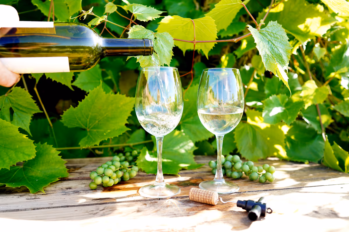 Grecia nel calice: i vini da provare in vacanza e i piatti con cui abbinarli