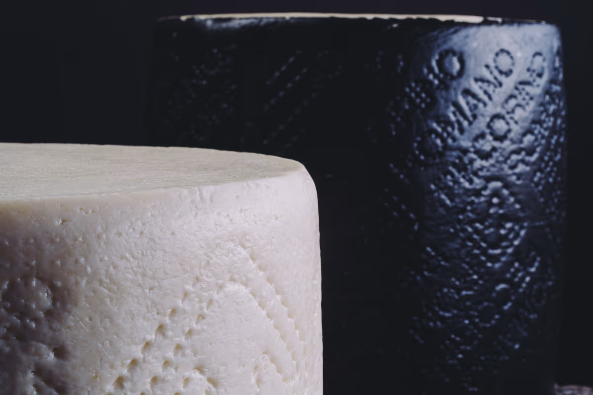 Dazi Usa e nuovi mercati: il Pecorino Romano cerca spazio oltre l’America