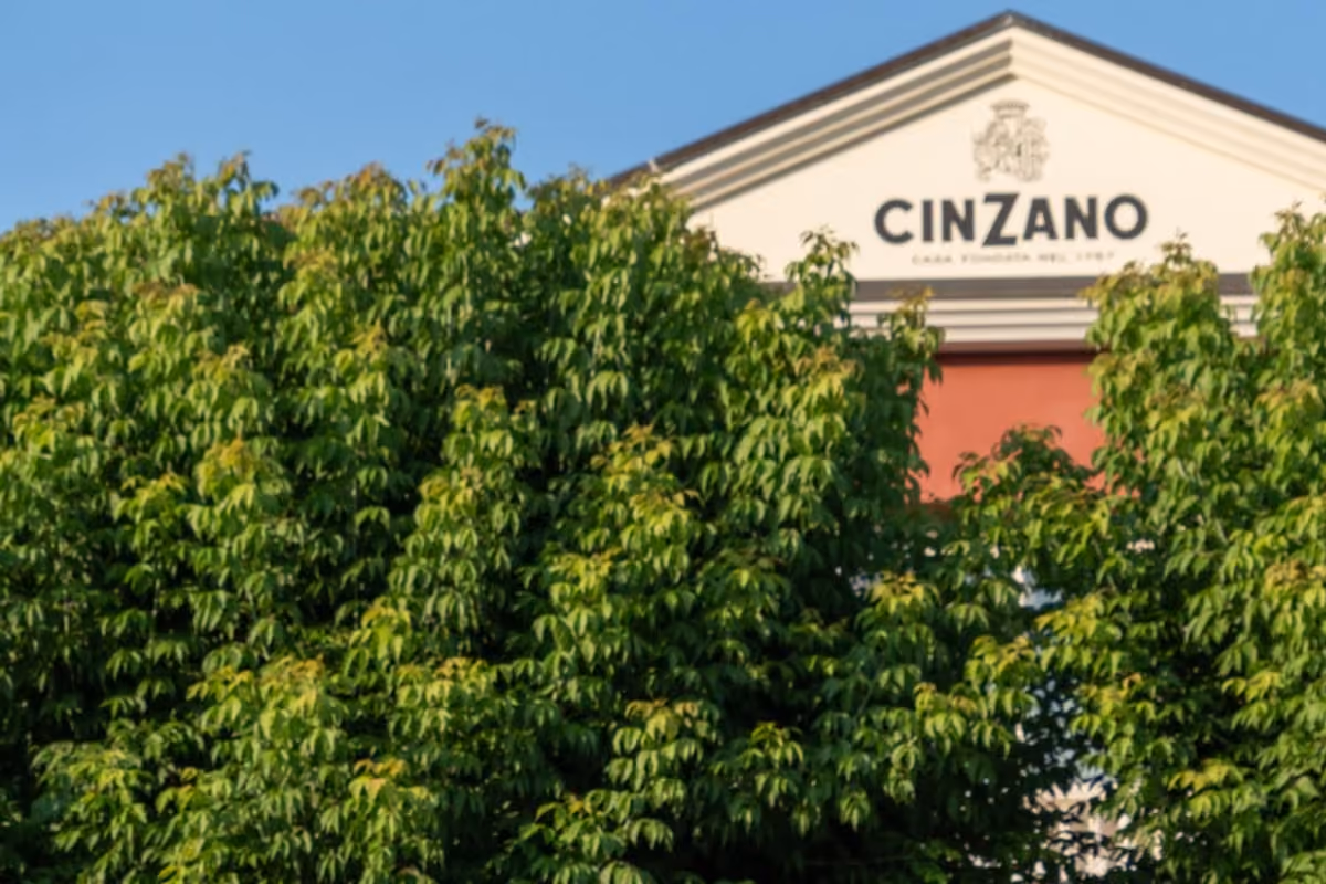 Cinzano torna nelle Langhe: al via la prima vendemmia con Gruppo Caffo 1915