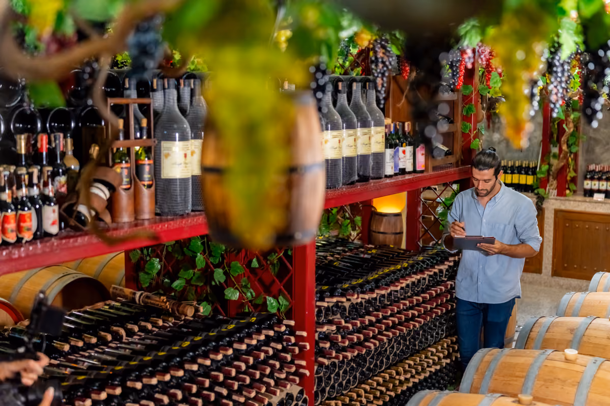 Il paradosso del vino bio: la legge che rende la sostenibilità un incubo burocratico