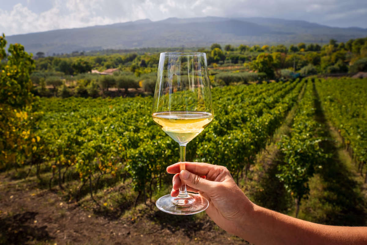 Etna Doc, in 13 anni il vino certificato è aumentato del 390%