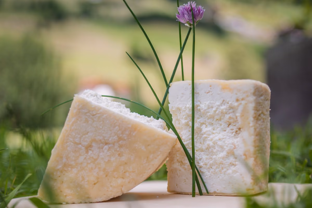 Valle Aurina, viaggio nel regno del Graukäse: il formaggio che racconta la montagna