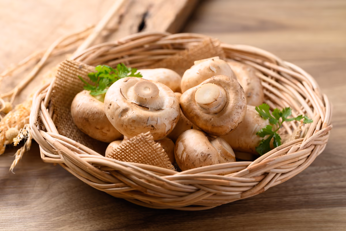 Funghi champignon, allo studio il possibile effetto contro il tumore alla prostata
