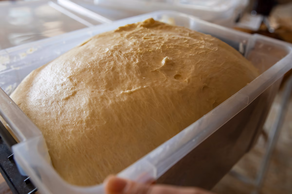 Pane e pizza: lunga lievitazione non significa per forza più digeribile