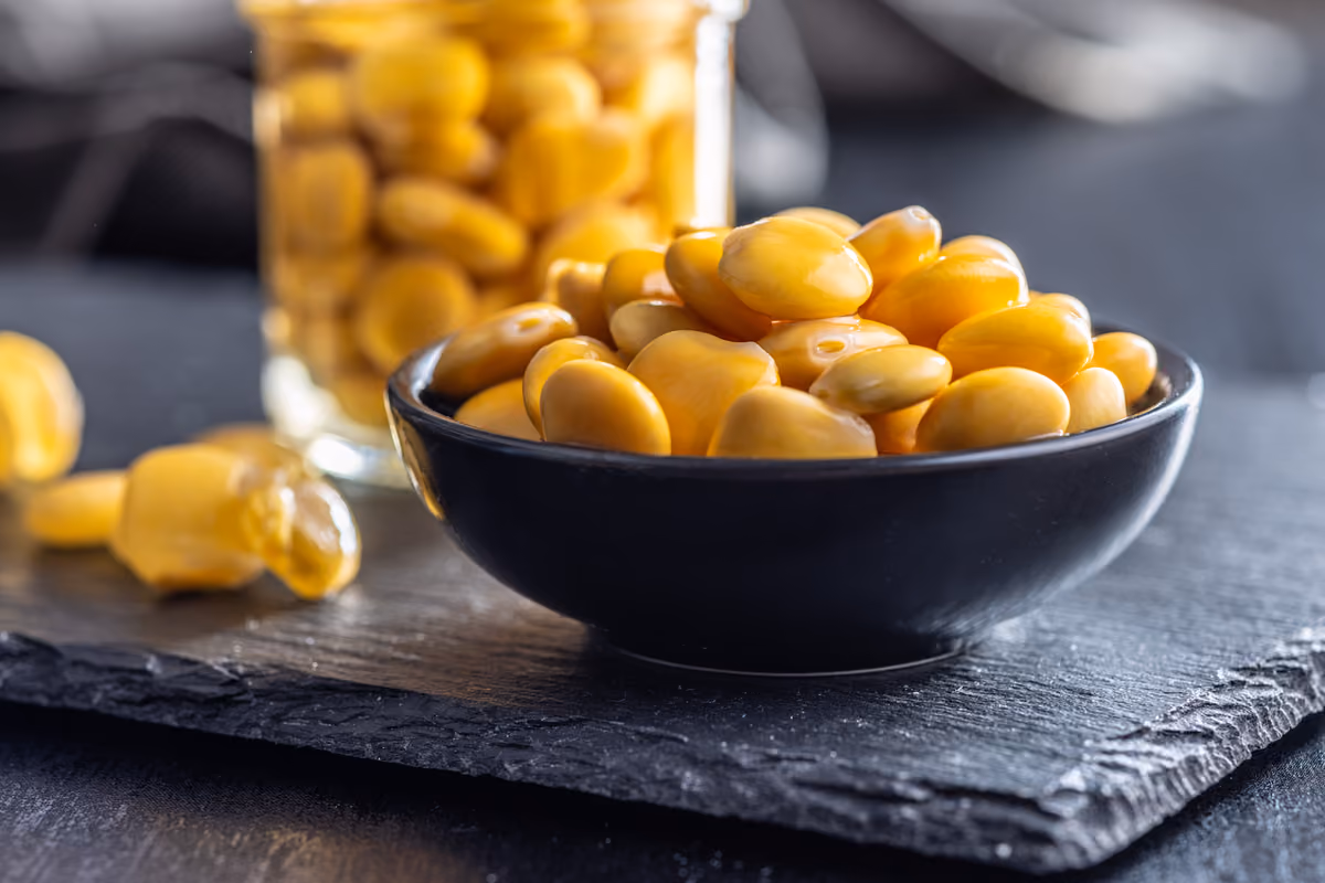 Lupini, il ritorno del legume dimenticato tra proteine, ricerca e nuove coltivazioni