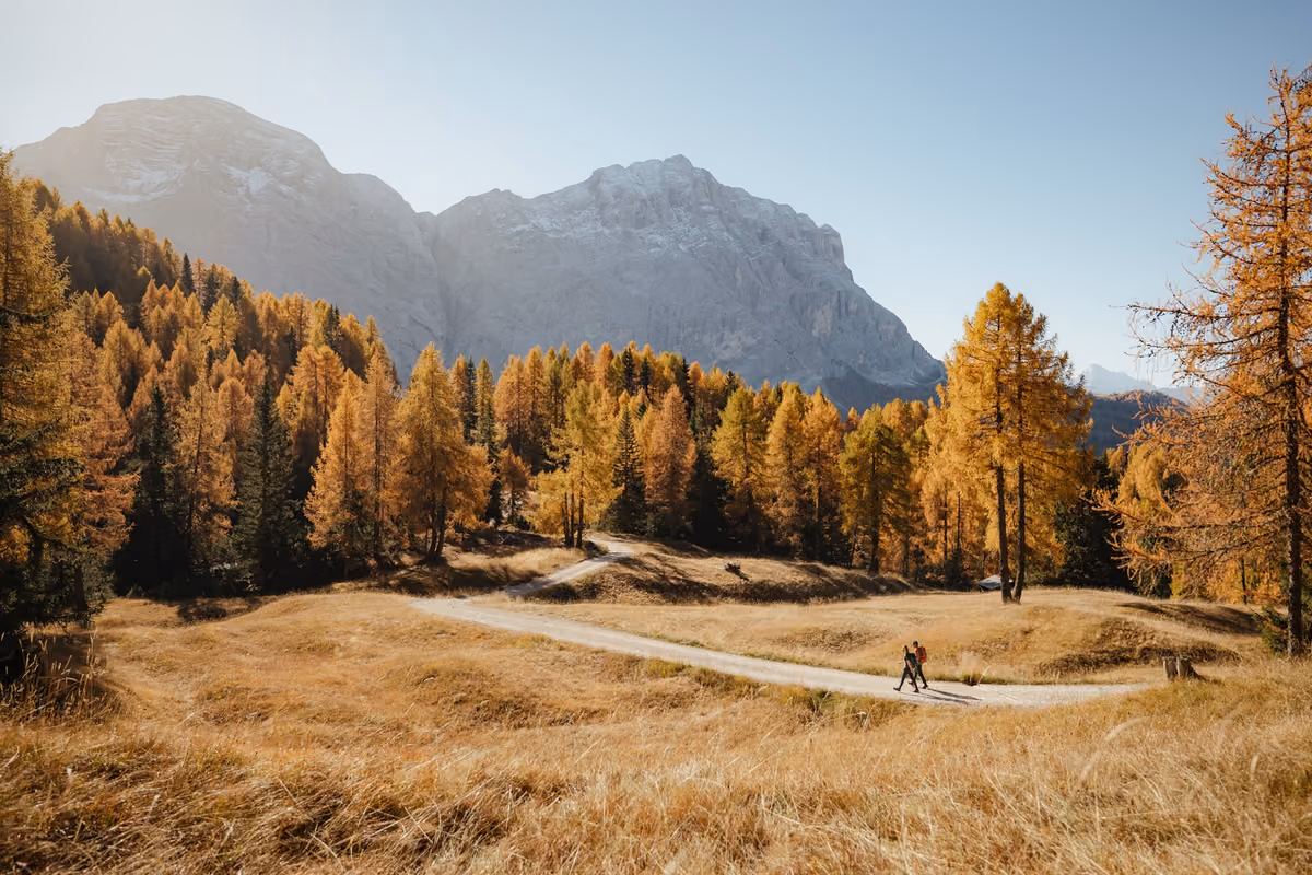 Le Dolomiti in autunno cambiano volto: il calendario di esperienze in Alta Badia