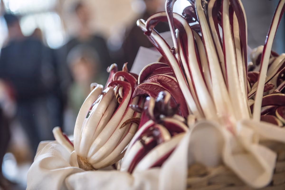 In autunno anche il radicchio rosso vale un viaggio in Alta Val Di Non