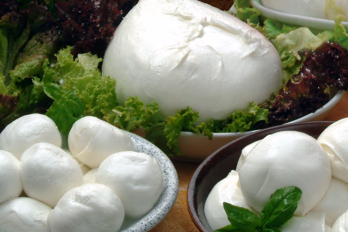Mozzarella di Bufala Campana Dop, produzione ferma per lo sciopero dei trasporti