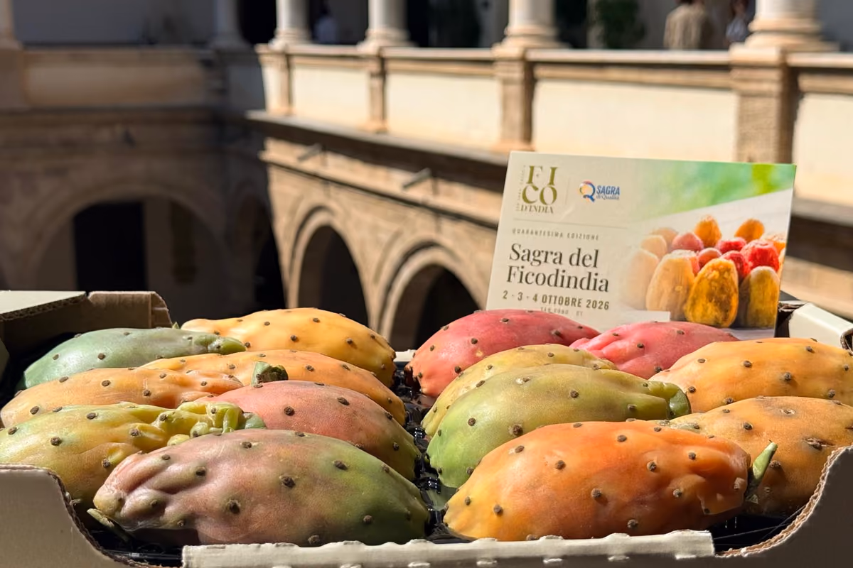 San Cono, il paese siciliano del fico d'India festeggia 40 anni di sagra