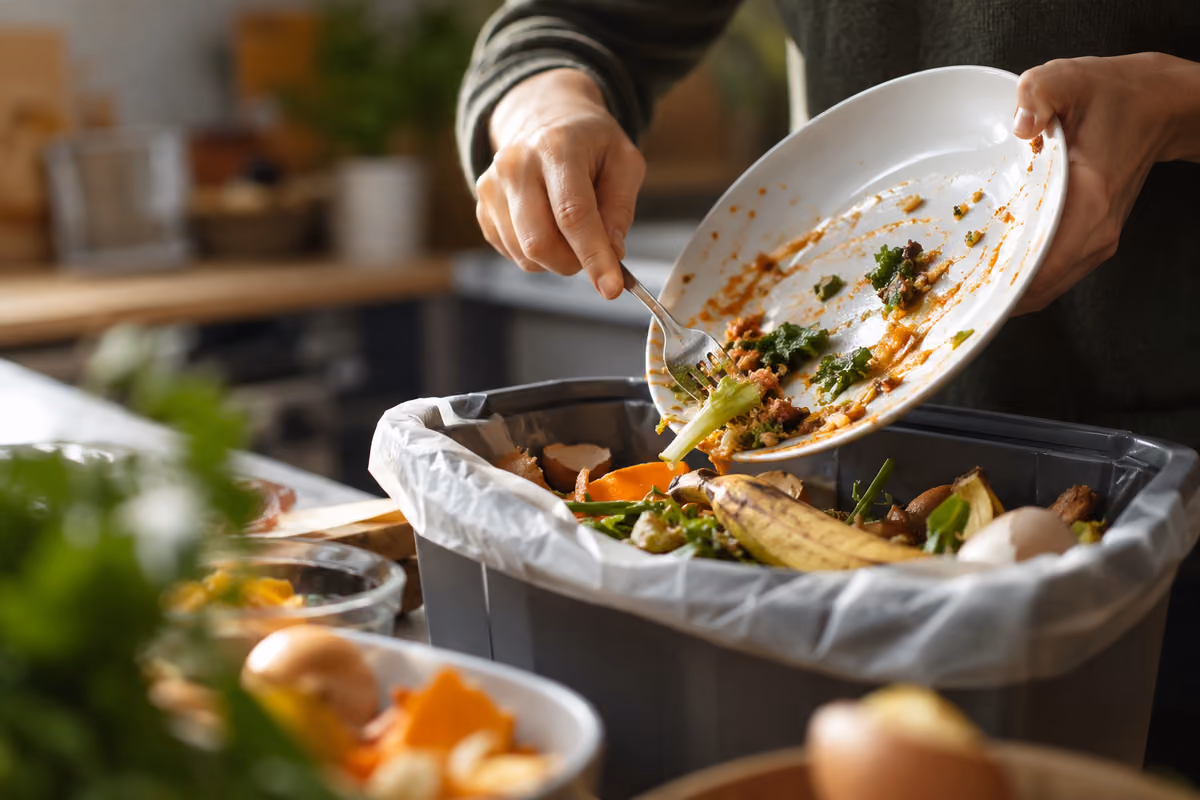 L'Italia spreca meno cibo: -11% in un anno, ma il conto supera i 6,5 miliardi
