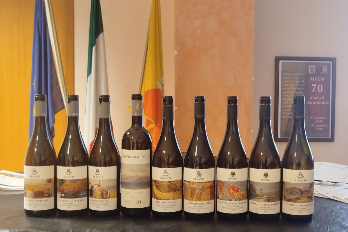 Dalle uve vendute sfuse ai vini di territorio: la svolta nel calice dell'Etna