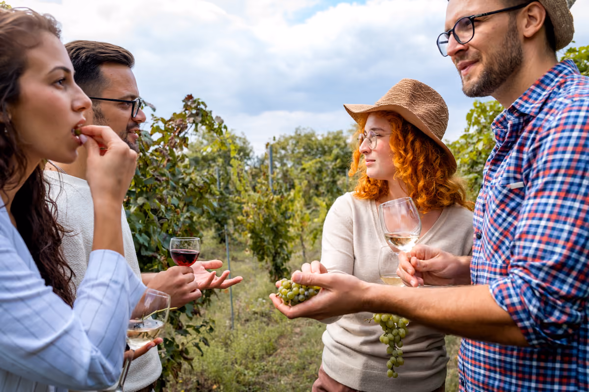I giovani non bevevano vino neanche prima, oggi cercano le esperienze