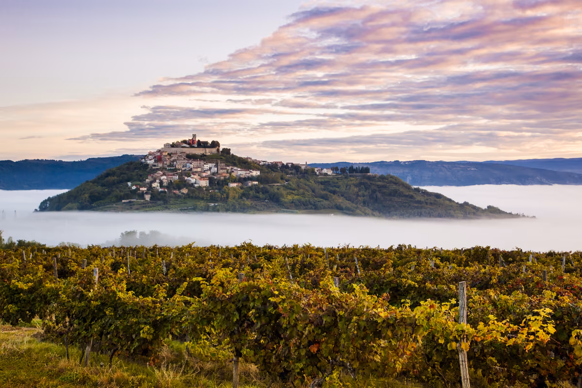 L’Istria oltre il mare: in autunno è meta per gli amanti del tartufo