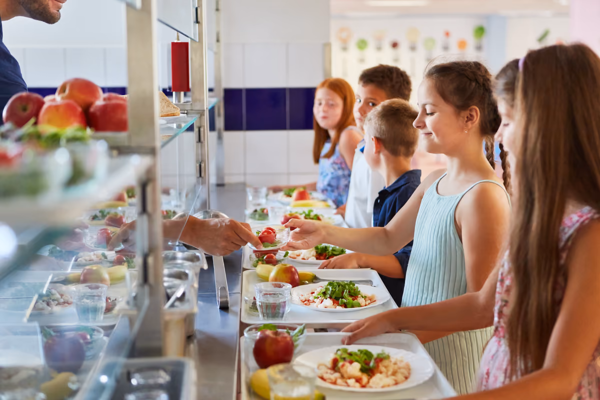 Via il maiale dalle mense a Piacenza: il menu lo decidono tecnici e gestori, non i politici