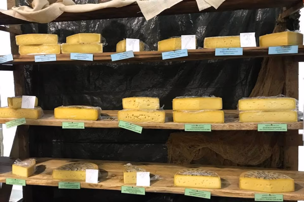 Etichette dei formaggi a latte crudo: il nodo è informare senza penalizzare i produttori
