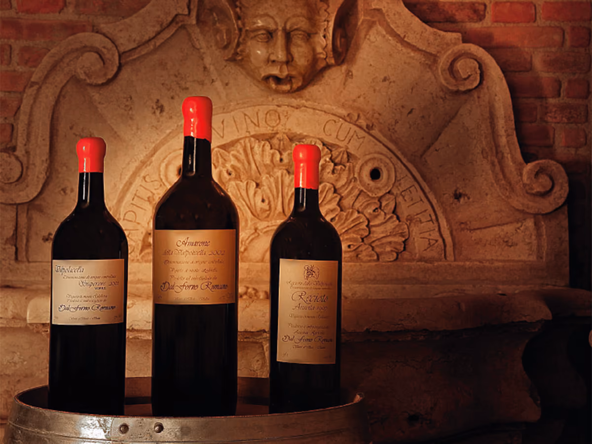 Potente come un Amarone, elegante come pochi: il Valpolicella di Romano Dal Forno