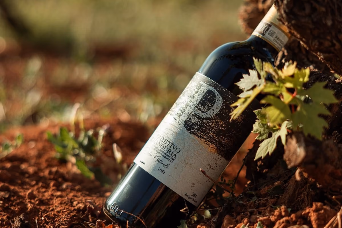Dal Primitivo al gin, Borgo dei Trulli trasforma la macchia mediterranea in un'esperienza
