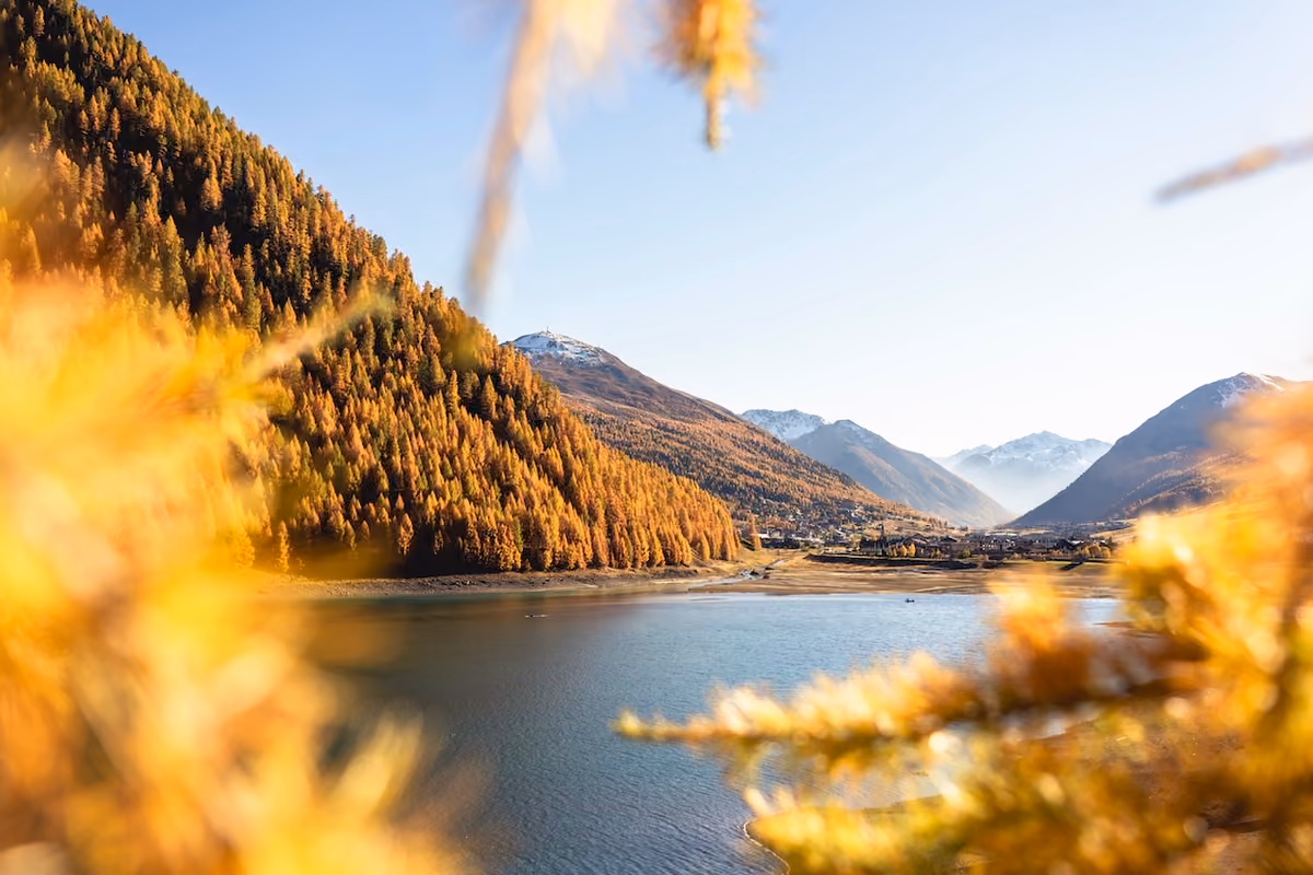 Foliage in Valtellina, 11 passeggiate tra laghi alpini e boschi di larici