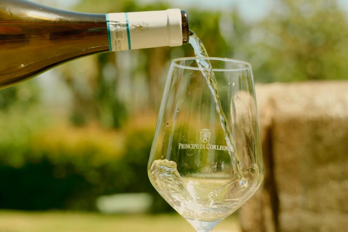 A Corleone il Catarratto cresce a 900 metri: così l'altitudine cambia il vino siciliano